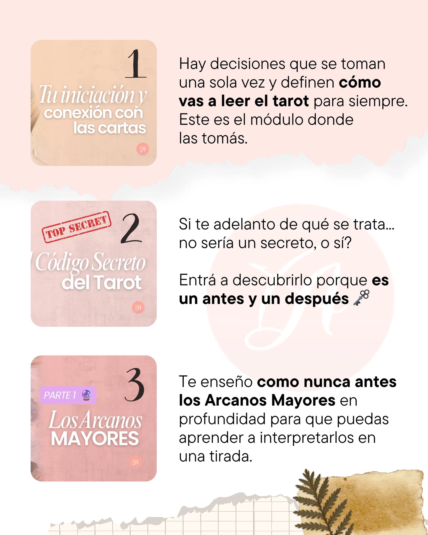 Formación de Tarot | De 0 a Tarotista Experta en el Brujiverso