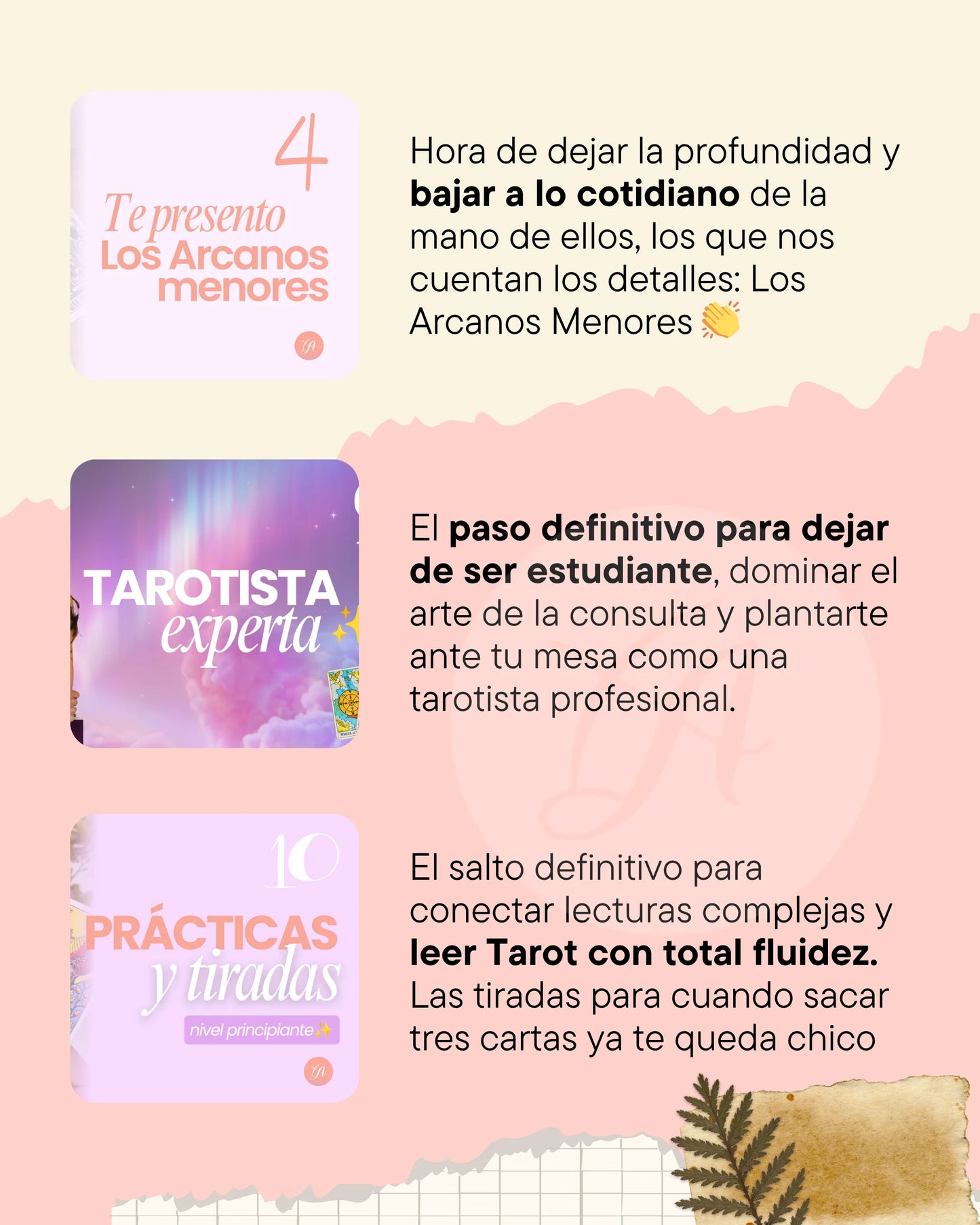 Formación de Tarot | De 0 a Tarotista Experta en el Brujiverso