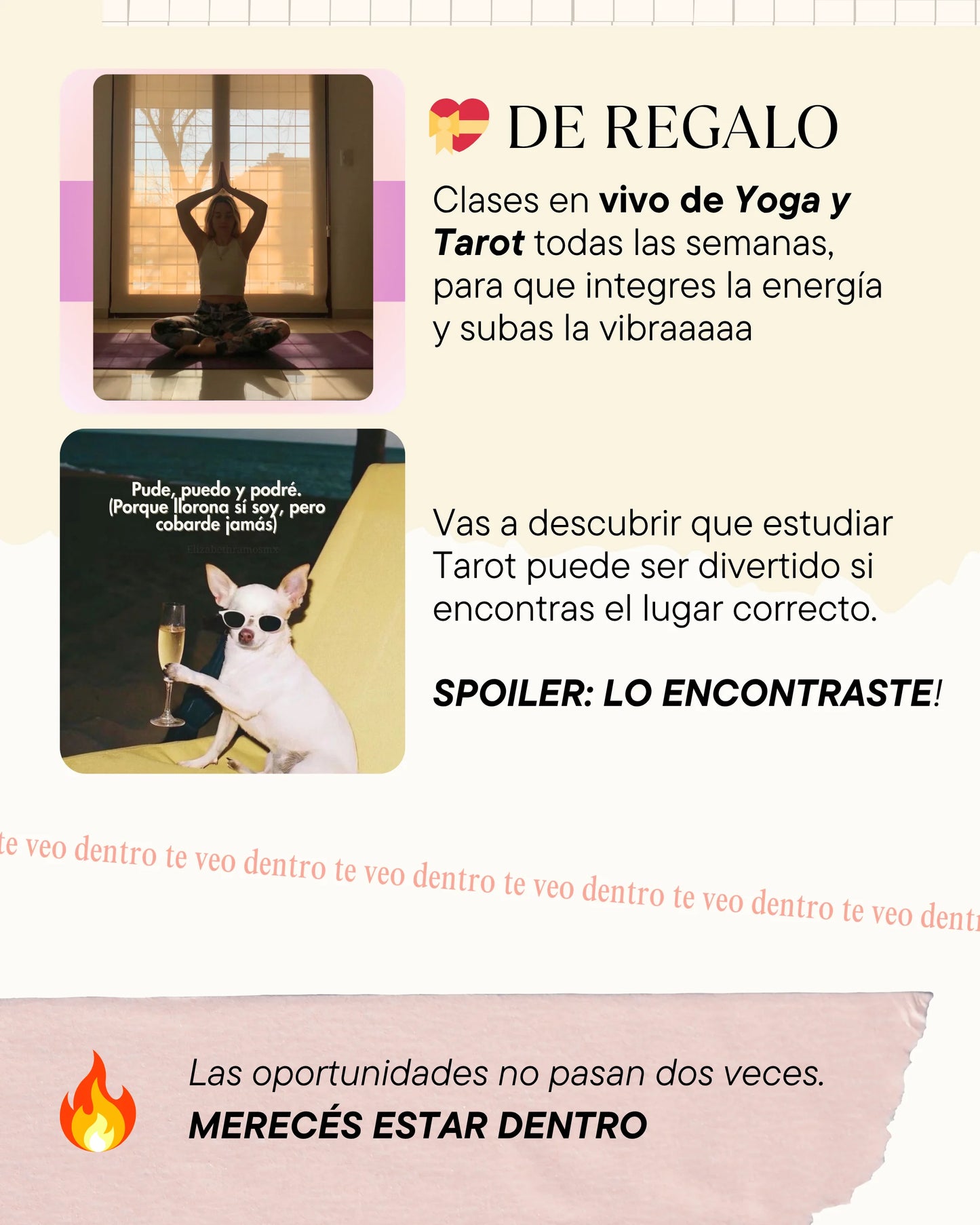 Formación de Tarot | De 0 a Tarotista Experta en el Brujiverso