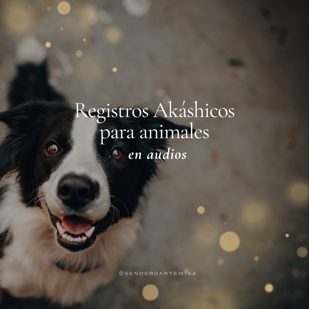 Sesión de Registros Akáshicos de Animales | en audios 🎧